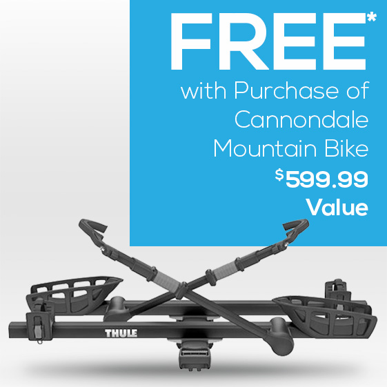 Free Thule bike rack with purchase.
