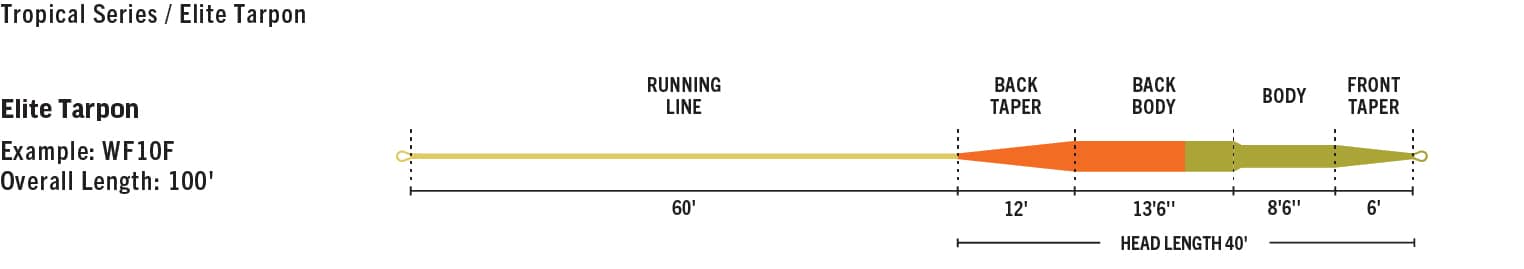 RIO ELITE TARPON FLY LINE 6 SW_Tropical_Elite_Tarpon_taper.jpg?quality=70&_mzcb=_1610577085847