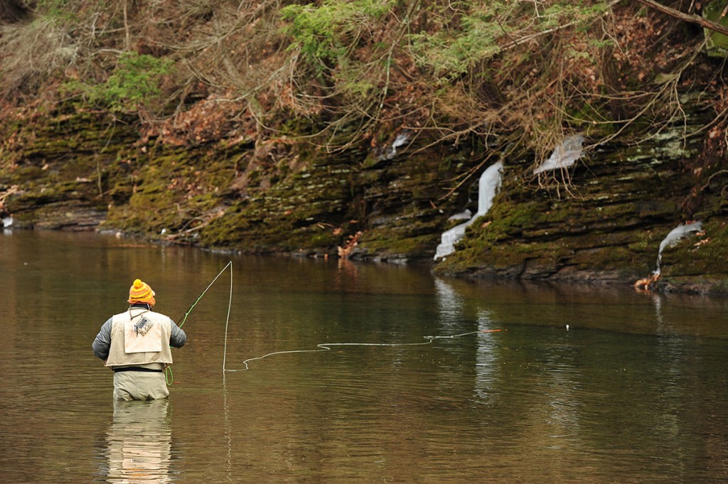 fish strike indicator