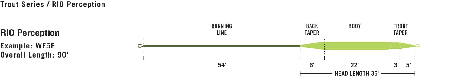 RIO PREMIER PERCEPTION FLY LINE 6 line-profile-premier-rio-perception.jpg?quality=70&_mzcb=_1592854391533