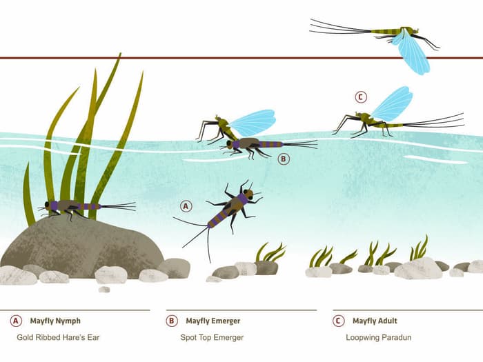 Fly Fishing Flies Redington