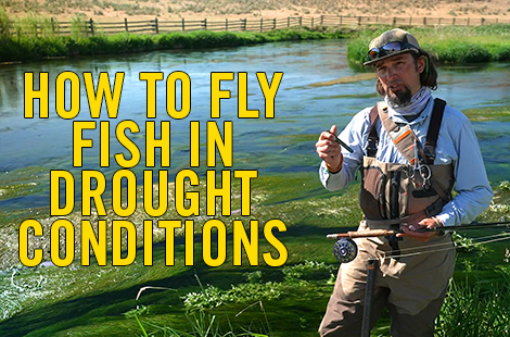 Fly Lines, Leader, Tippet, & More RIO Products