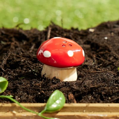 Mini Mushroom Pepper Shaker