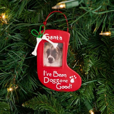 Dog Stocking Frame Ornament