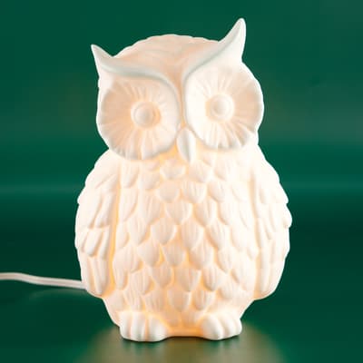 Porcelain Owl Accent Light
