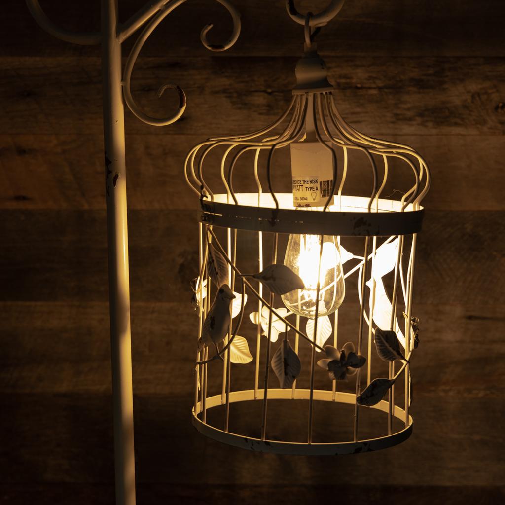 Bird cage lamp brass - Bird cage lamps - Flowerfeldt