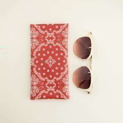 Sunglasses with Red Case