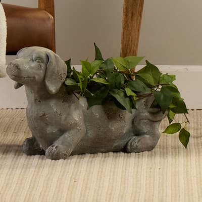 Dog Planter