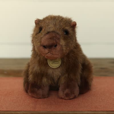 Capybara Plush