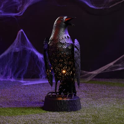 Crow Accent Light