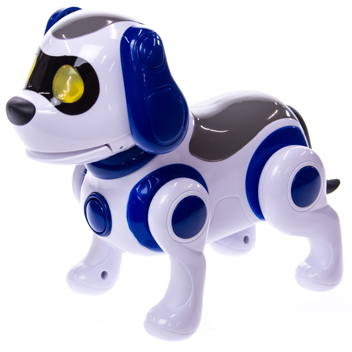 Interactive Robot Treat Toy – Perfect Paw Store