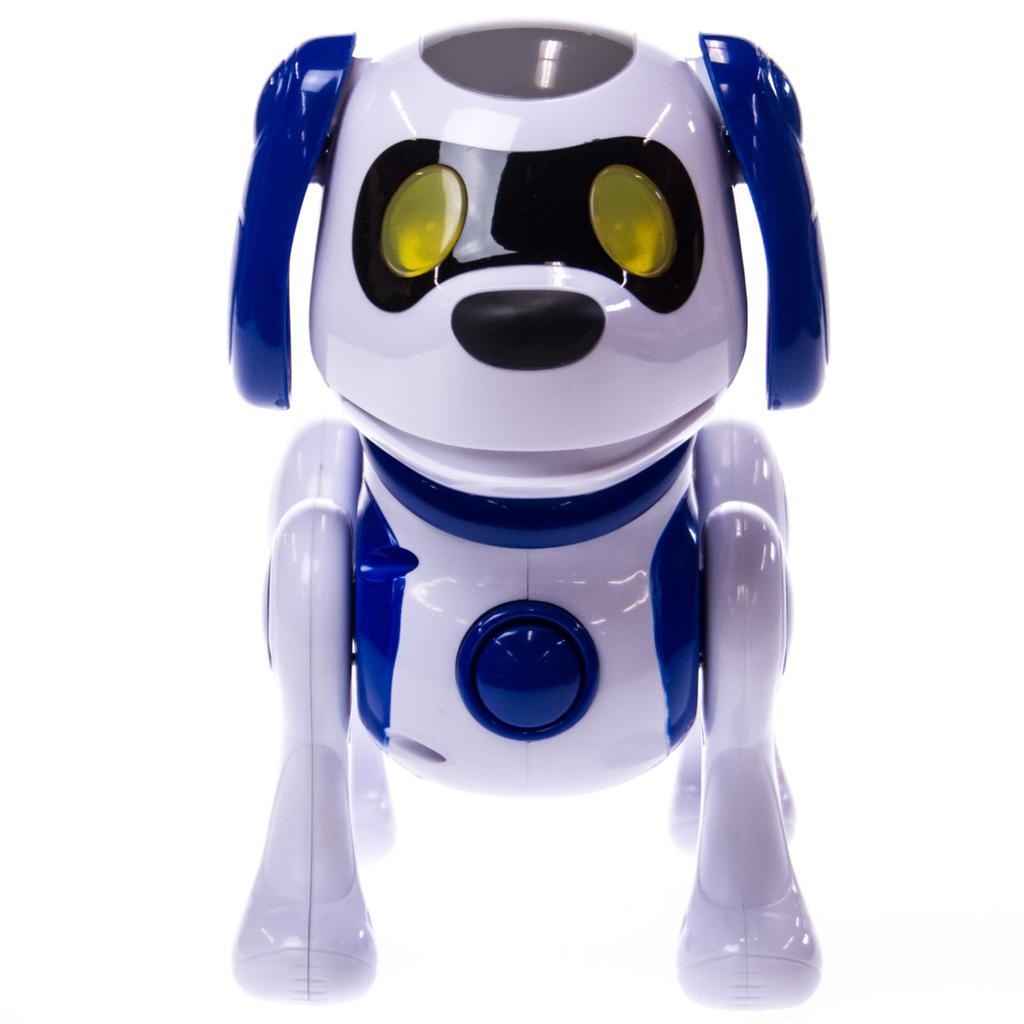 Interactive Robot Treat Toy – Perfect Paw Store