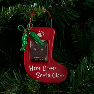 Update Pet Stocking Frame Ornament - Fish