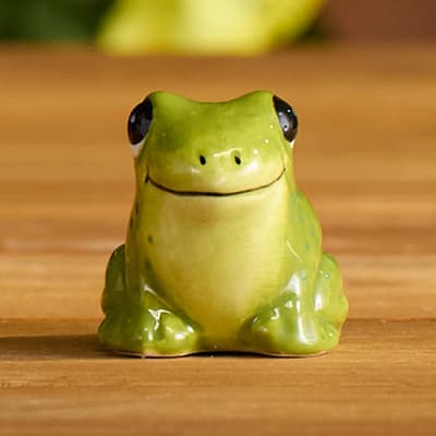 Frog Mini Salt Shaker