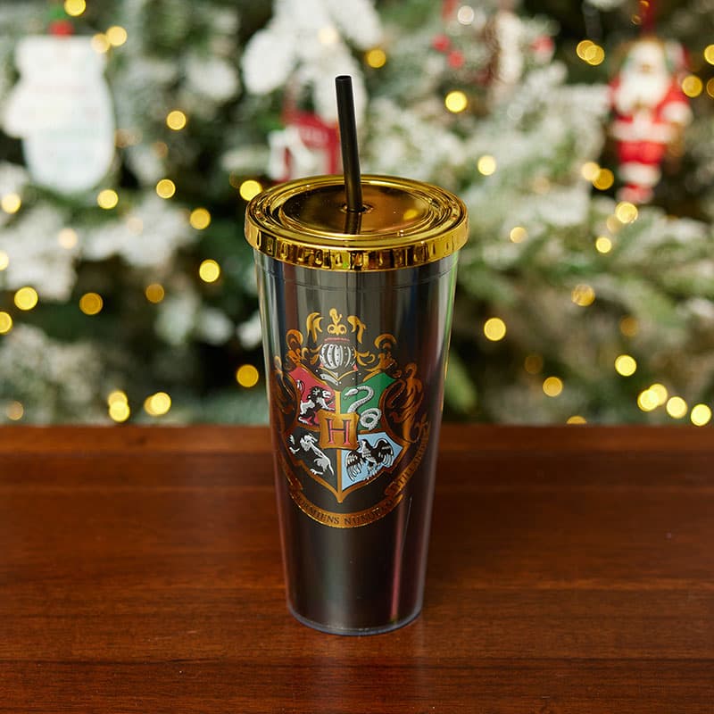 Harry Potter Hogwarts Bamboo Tumbler Cup with Lid and Straw | Holds 20 Ounces