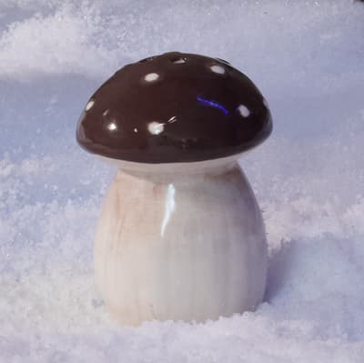 Mushroom Mini Salt Shaker - Brown