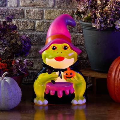 Witch Frog Blow Mold