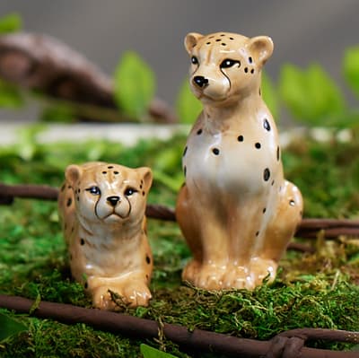 Cheetahs Salt and Pepper Set