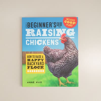 Beginners Guide To Raising Chickens