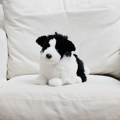 Border Collie Medium Plush