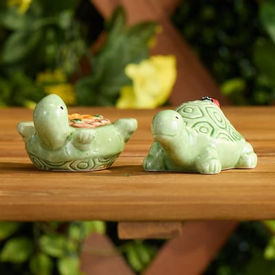 Stoneware Turtle Salt and Pepper Set