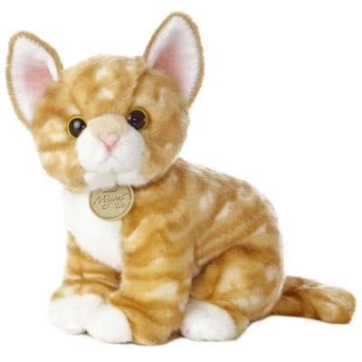 Plush Orange Tabby Kitten