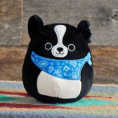 5" Border Collie with Bandana Squishmallow - Tommy