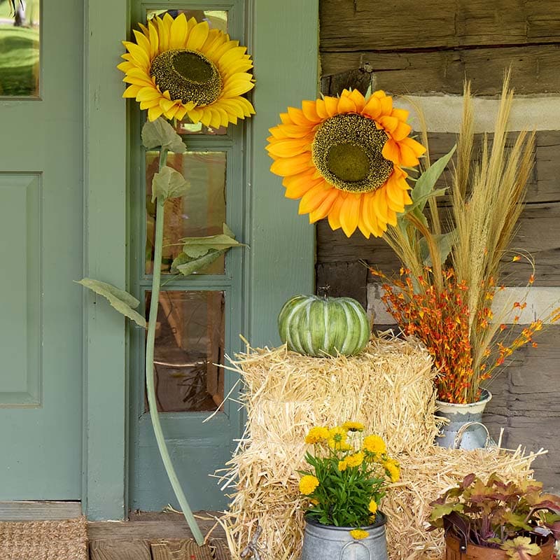 額装品/Sunflowers for Hope（デビット ホックニー）