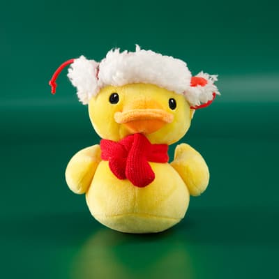Duck with Winter Hat Small Plush