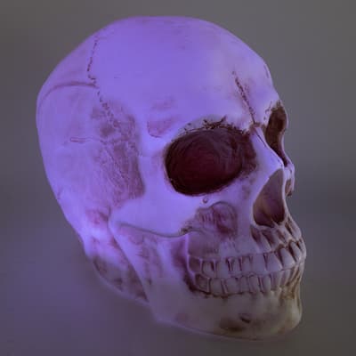 Skull Blow Mold