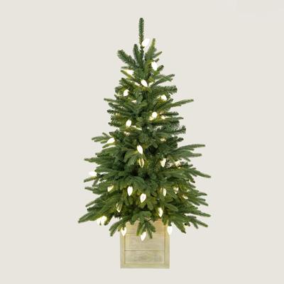 4.5' Prelit Pine Tree in Wooden Pot
