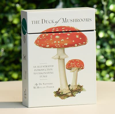 The Deck Of Mushrooms