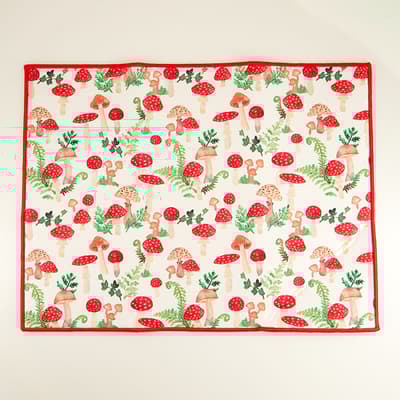 Mushrooms Drying Mat