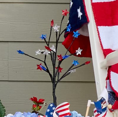 Solar Stars Yard Stake