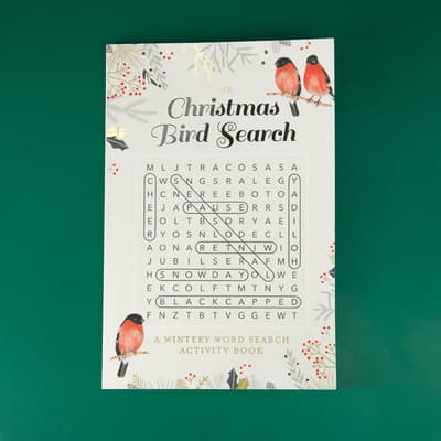 Christmas Bird Word Search