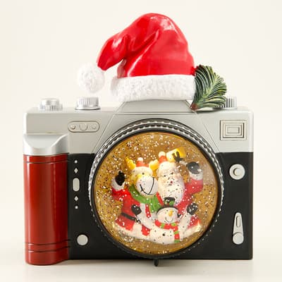 Camera Glitter Globe