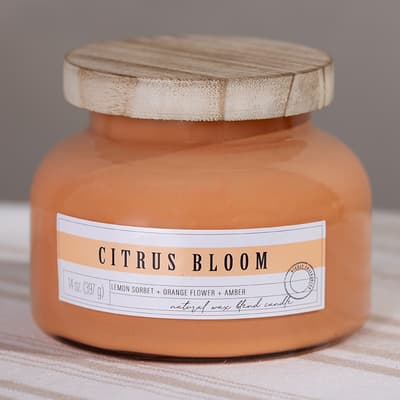 VH Home Fragrance&reg; 14 Oz. Citrus Bloom Aurora Jar