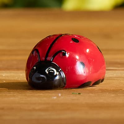 Ladybug Mini Salt Shaker