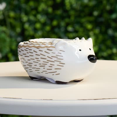 Hedgehogs Measuring Cup Set