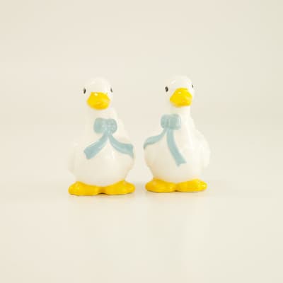 Ducks Salt and Pepper Set
