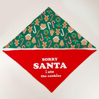 Christmas 2 Pack Bandana