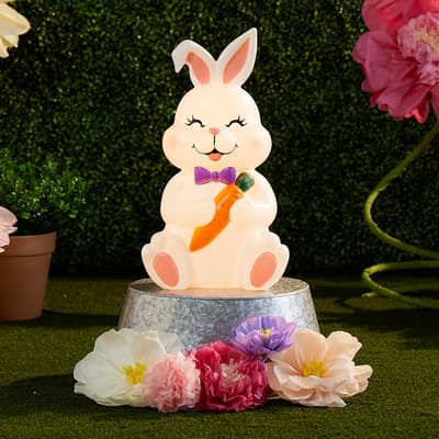 Sitting Bunny with Carrot Blow Mold