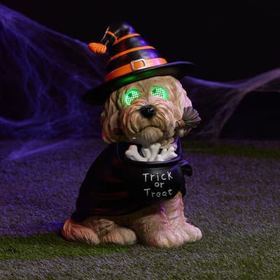Lit Halloween Witch Dog