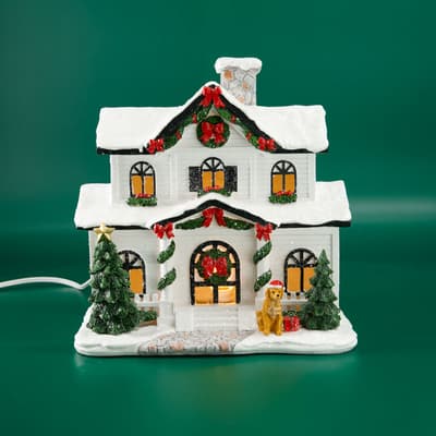 Christmas House Accent Light