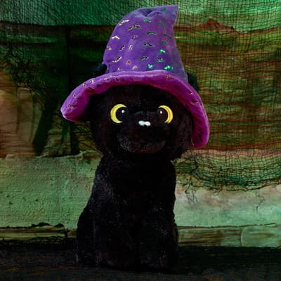 Black Cat with Wizard Hat Plush