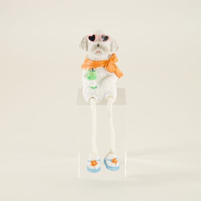 Orange Scarf Boy Dog Sitter