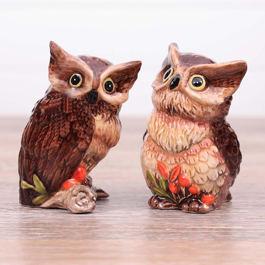 Owl Salt and Pepper Shaker Set MultiColors