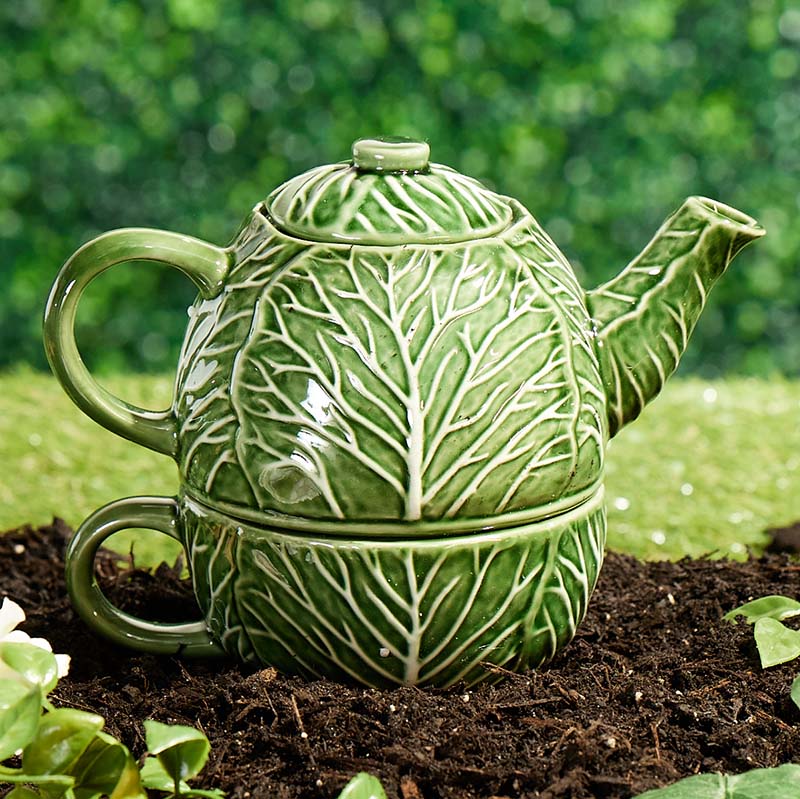 Cabbage Tea For One Cracker Barrel