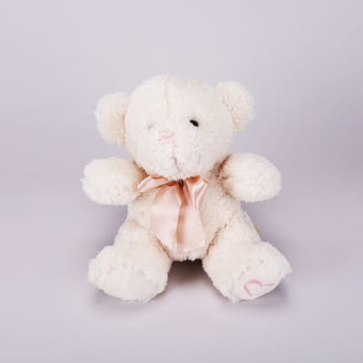 Ivory Bear Medium Plush