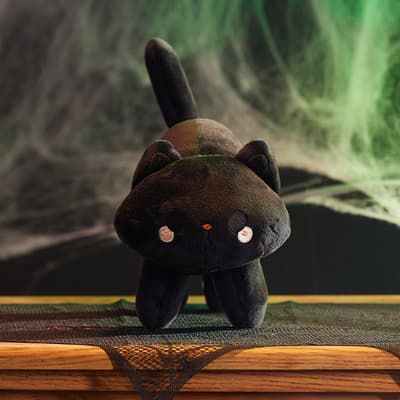 Willow Black Scaredy Cat Plush